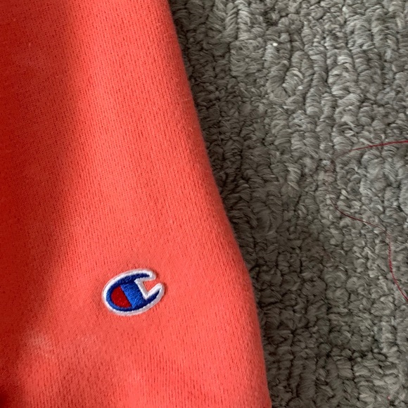champion hoodie - Picture 3 of 3